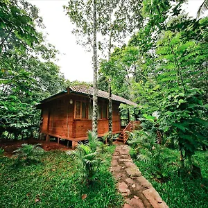 Resort Bamboo Creek **
